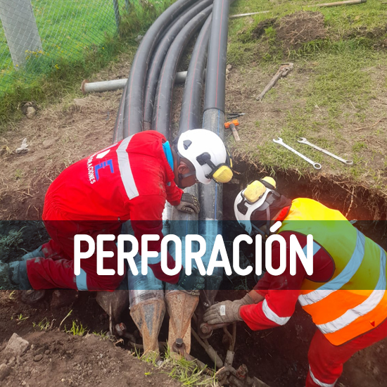 Perforación
